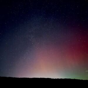 Meet your Posher, T.